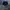 Shortpants Nike Running Blue on Navy Style photo 4