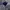 Shortpants Nike Running Blue on Navy Style photo 2