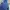 Preloved (Personal Used) Dungarees Jeans Pendek/ Monyetan photo 3
