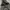Levi’s Skateboarding Utility Pants photo 6
