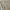 Abercrombie yellow babydoll top photo 2