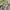 Abercrombie yellow babydoll top photo 5