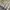 Abercrombie yellow babydoll top photo 4