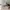 On Running Cloudtilt Remix 'Grey/Blue' - 10271536 photo 6