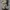 Cowboy Boots by Ariat photo 7