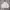 Who Au Crop Boxy Canvas Jacket
