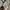 Avirex Streetwear Y2K Parka Pria multicolor photo 5