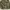 Avirex Streetwear Y2K Parka Pria multicolor photo 3