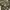 Avirex Streetwear Y2K Parka Pria multicolor photo 8