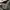 Dickies Carpenter Pants photo 7