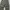 Dickies Carpenter Pants photo 3