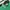 Minimalist Casual Polo shirt Pria green photo 4