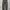 Carhartt WIP Camo Unite Rindef Cargo Pants 