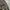 Carhartt WIP Camo Unite Rindef Cargo Pants  photo 6