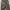 Carhartt WIP Camo Unite Rindef Cargo Pants  photo 7