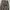 Carhartt WIP Camo Unite Rindef Cargo Pants  photo 5