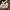 MAGASIN KOREAN BRAND BALLOON PANTS photo 5