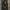 OLIVE des OLIVE Vintage Biker Leather jacket Pria tan black photo 5
