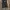 OLIVE des OLIVE Vintage Biker Leather jacket Pria tan black photo 1