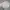Vintage Minimalist Windbreaker Pria white photo 1