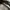 Birkenstock Tatacoa Futura Black photo 8