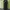 japanase brand stripe pattern nikka pokka work pants  photo 2