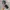Streetwear Sportswear Pria multicolor photo 6