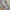 Streetwear Sportswear Pria multicolor photo 2