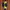 Casual Harrington jacket Pria yellow photo 3