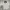 Vintage Casual Windbreaker Pria white photo 1