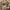 BROWNY VINTAGE ARMY MILITARY STYLE M65 OG 107 CAMOUFLAGE WIT