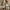 BROWNY VINTAGE ARMY MILITARY STYLE M65 OG 107 CAMOUFLAGE WIT photo 4