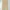 nicole club japanese brand khaki pants  photo 4