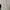 Columbia Minimalist Casual Polo shirt Pria white tan photo 6
