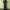 spao 1980 black indigo jeans baggy pants  photo 2