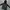 Adidas Puffer jacket Pria black photo 7