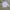 Casual Formal shirt Pria white photo 2