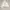 Uniqlo Techwear Style Zip Hoodie White