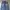 Beslow Baggy Barrel Pants photo 7