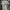 Stussy Avant Garde Shirt dress Wanita gray photo 1