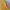 Stussy Streetwear Casual Sweatshirt Pria yellow photo 6