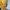 Stussy Streetwear Casual Sweatshirt Pria yellow photo 5