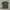 Y2k Grunge Emo Goth Archive Aeropostale Vkei Tee Big Logo