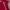Y2k Grunge Emo Goth Aeropostale Polo Shirt Tribal Logo photo 3