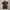 Y2k Grunge Emo Goth Aeropostale Polo Shirt Tribal Logo