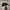 Hat Snapback MLB NY photo 5