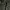 Semantic Design Cargo Pants