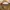 Carhartt Pocket K87 219 Heater Brown photo 3