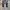 Denim Pants Plac photo 4