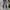 Denim Pants Plac photo 3